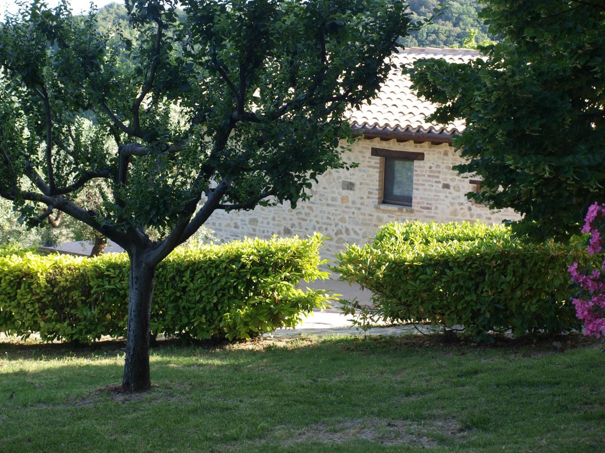 Agriturismo Camiano Piccolo Montefalco Buitenkant foto